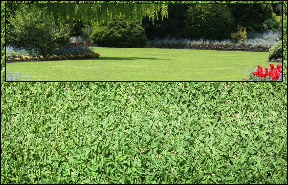 canstockphoto21756443resized